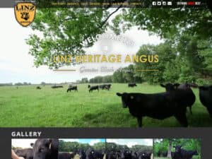 Linz Heritage Angus Website website. A screenshot of a web page for a wholesale meat company with a logo emblem in yellow and black in the upper-left, some links in yellow to the right in a navigation bar and below that, a large masthead image of some black cattle seen grazing in a large field near some trees at mid-day wit the words "Welcome to Linz Heritage Angus" overlaid on top in white and yellow